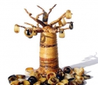Baobab de decoración o porta collar, pendientes y anillos en Rafia - mejor precio | unprecio.es