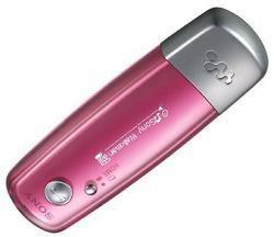 Sony NWE005 Flash Memory Walkman 2GB MP3 Player P
