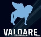 VALOARE.COM …… Compro coche de segunda mano. - mejor precio | unprecio.es