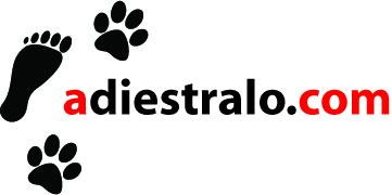 Adiestramiento canino Madrid