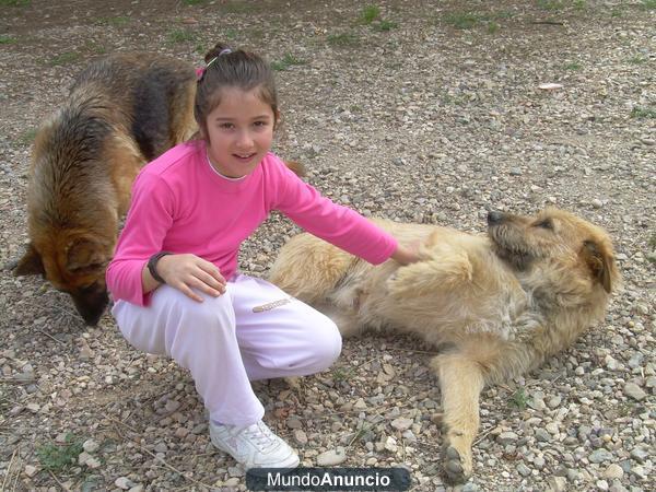 SIMPA BUSCA CASA EN EL CAMPO