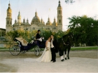 Bodas en carruaje de caballos - mejor precio | unprecio.es