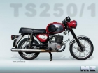 Compro MZ TS 250 - mejor precio | unprecio.es