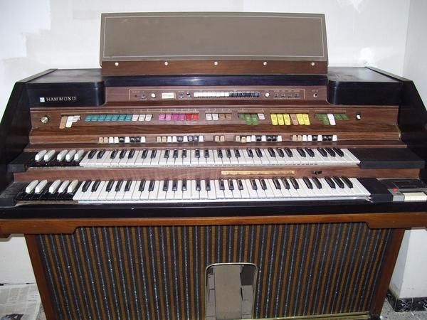 vendo organo hammond concorde profesional