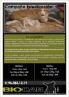 Campaña esterilización perros y gatos! Mini precios! - mejor precio | unprecio.es