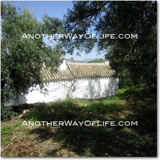 3b     in Iznajar,  Cordoba   - 130000  EUR