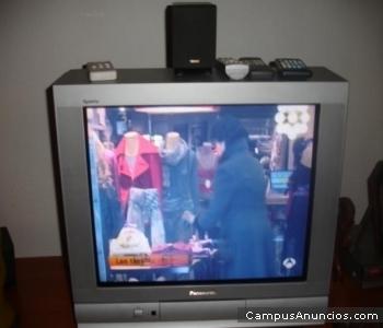 vendo television panasonic