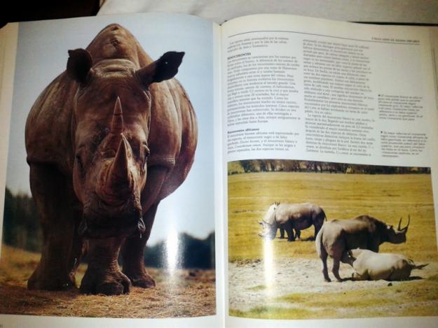 Enciclopedia national geographic