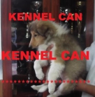 cachorros de rough collie - mejor precio | unprecio.es