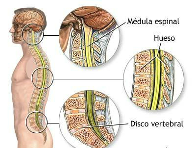 Quiromasajista terapeutica...no sexo