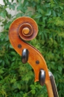 Violonchelo Stradivarius 1713 - mejor precio | unprecio.es