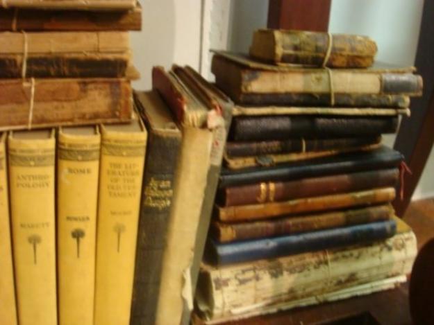 Gran Lote libros antiguos