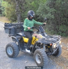 Se vende Polaris Trail boss 330 - mejor precio | unprecio.es