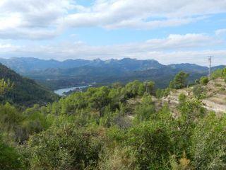 Finca/Casa Rural en venta en Benifallet, Tarragona (Costa Dorada)