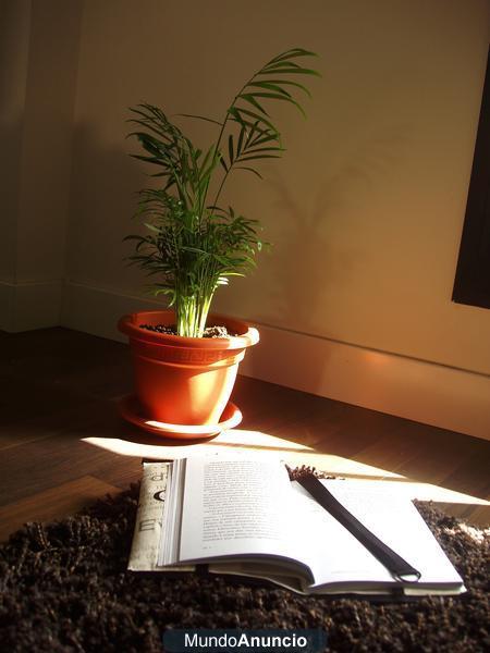 Protector de libros