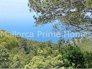 Terreno/Finca Rstica en venta en Valldemosa, Mallorca (Balearic Islands)