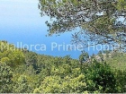 Terreno/Finca Rstica en venta en Valldemosa, Mallorca (Balearic Islands) - mejor precio | unprecio.es