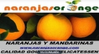 Venta de las mejores naranjas y mandarinas. - mejor precio | unprecio.es