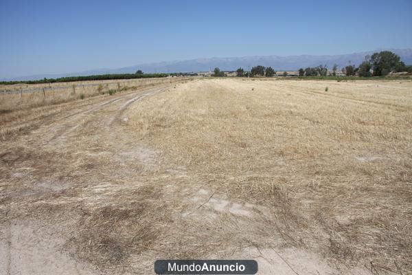 FINCA AGRICOLA Y GANADERA  36,50 HAS EN OROPESA (TOLEDO)