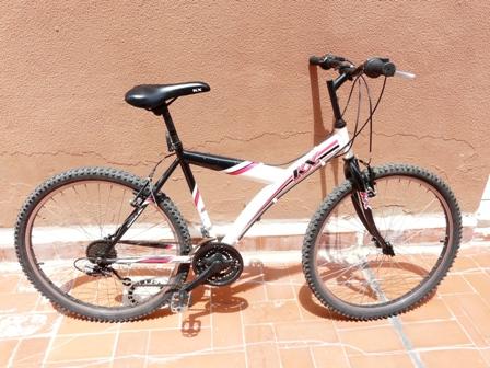 Mountain bike