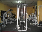 VENDO MAS DE 40 APARATOS DE GYMNASIO-TAMBIEN TRANSPASO EL LOCAR - mejor precio | unprecio.es