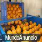 maquina de cepillar naranjas - mejor precio | unprecio.es