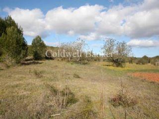 Terreno/Finca Rstica en venta en Ibiza/Eivissa, Ibiza (Balearic Islands)