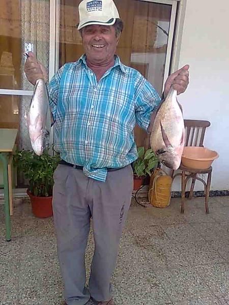 qiero un perro regalado de raza grande para el campo