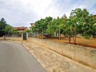 Terreno/Finca Rstica en venta en Son Ferrer, Mallorca (Balearic Islands)