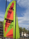 Venta de Hobie Cat Dragoon - mejor precio | unprecio.es