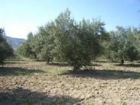 Comprar Terreno Alhama de Granada PARAJE DE BARTOLO - mejor precio | unprecio.es