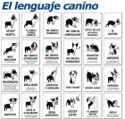 Se pasean y cuidan perros - mejor precio | unprecio.es