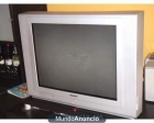 Vendo tv BLUESKY 29\" - mejor precio | unprecio.es