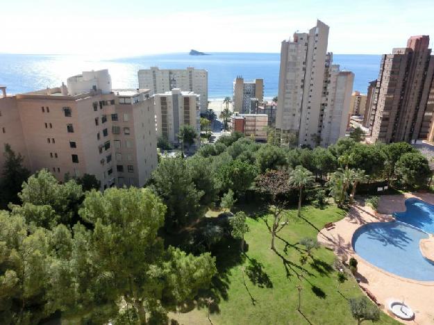 Piso en Benidorm