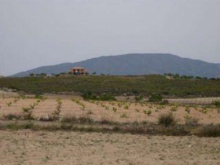 Terreno/Finca Rstica en venta en Pinoso, Alicante (Costa Blanca)