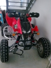 quad racing - mejor precio | unprecio.es