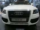 Audi Q5 2,0 TDI SOFORT EXPORT 20999 EUR - mejor precio | unprecio.es