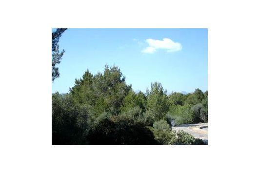Terreno y Solares En Venta en Santa Ponsa, Mallorca