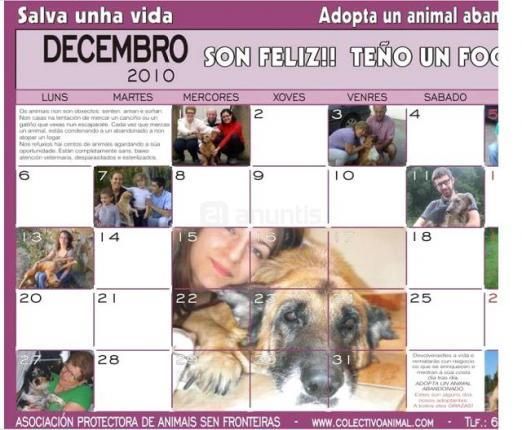 CALENDARIO SOLIDARIO ANIMALES. COLABORA