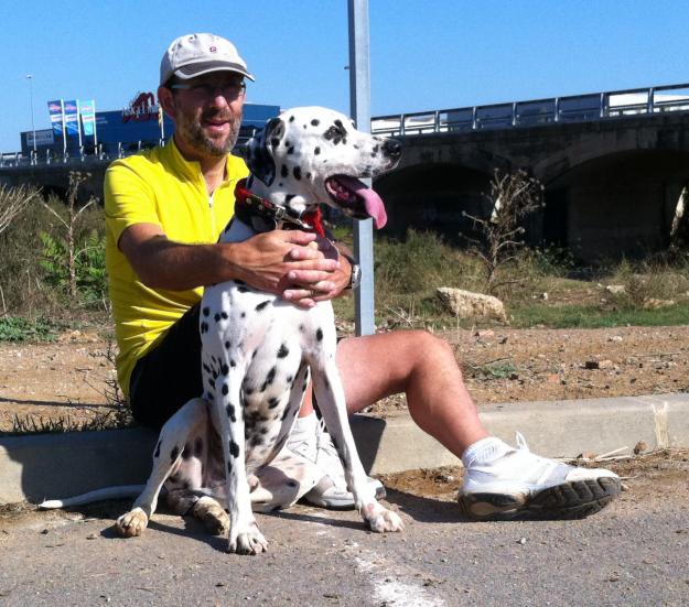 SPOT, DALMATA de 2 años , Regalo .