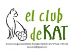 Urgente. Necesitamos casas de acogida para 3 perros. CLUB DE KAT - mejor precio | unprecio.es