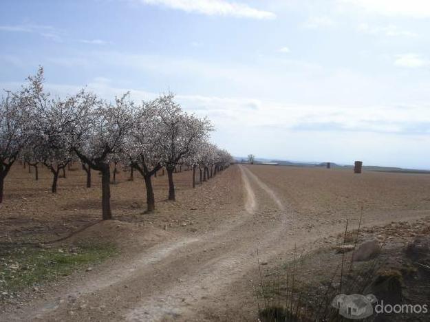 Vendo finca rustica