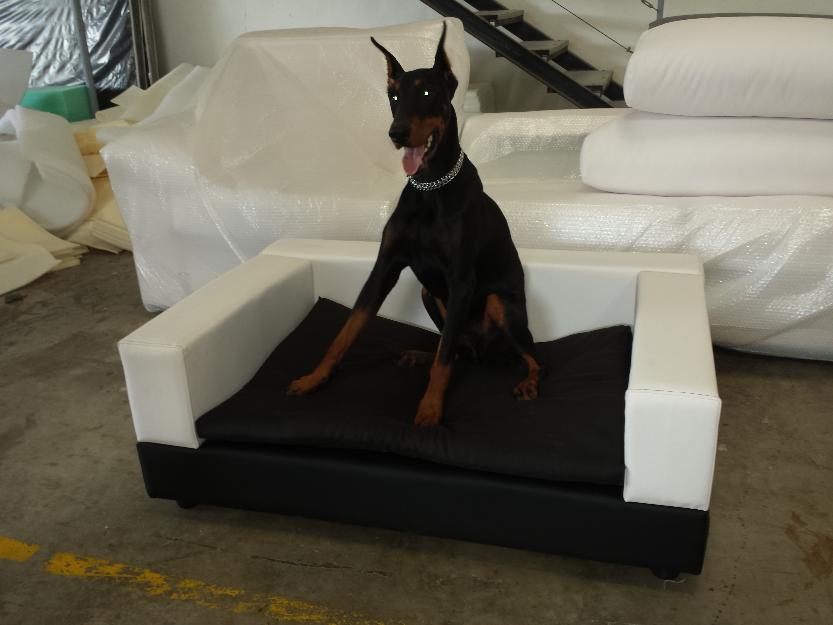 Sofás para mascotas