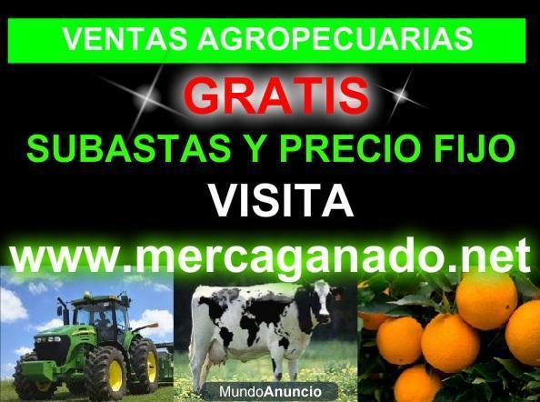 SUBASTAS AGROPECUARIAS GRATIS