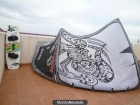 Kite Naish Park 10M + barra + Tabla Naish Thorn 2011. - mejor precio | unprecio.es