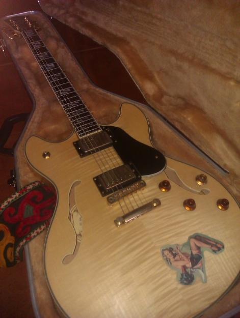 vendo Guitarra Washburn hb-35