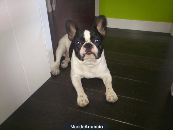 busca novia