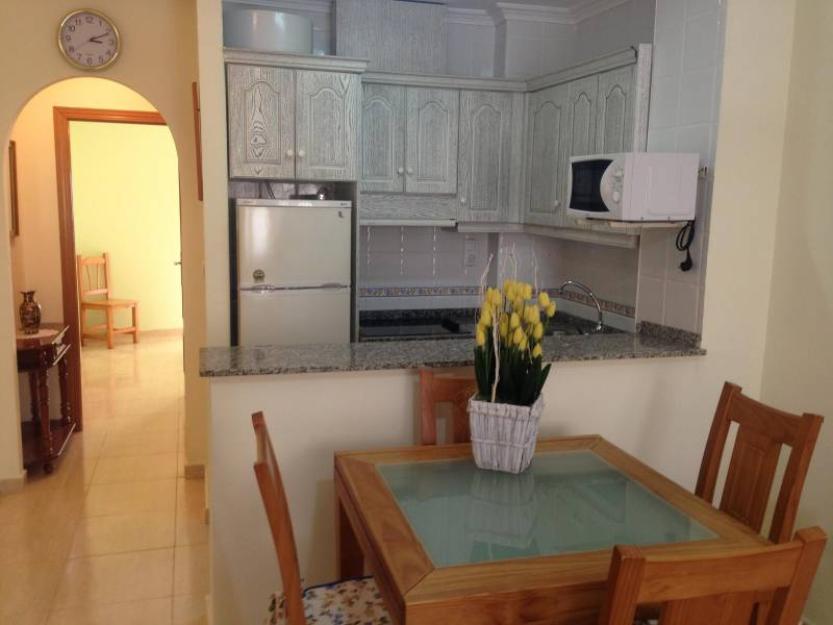 Apartamento en torrevieja (ref: 0053)