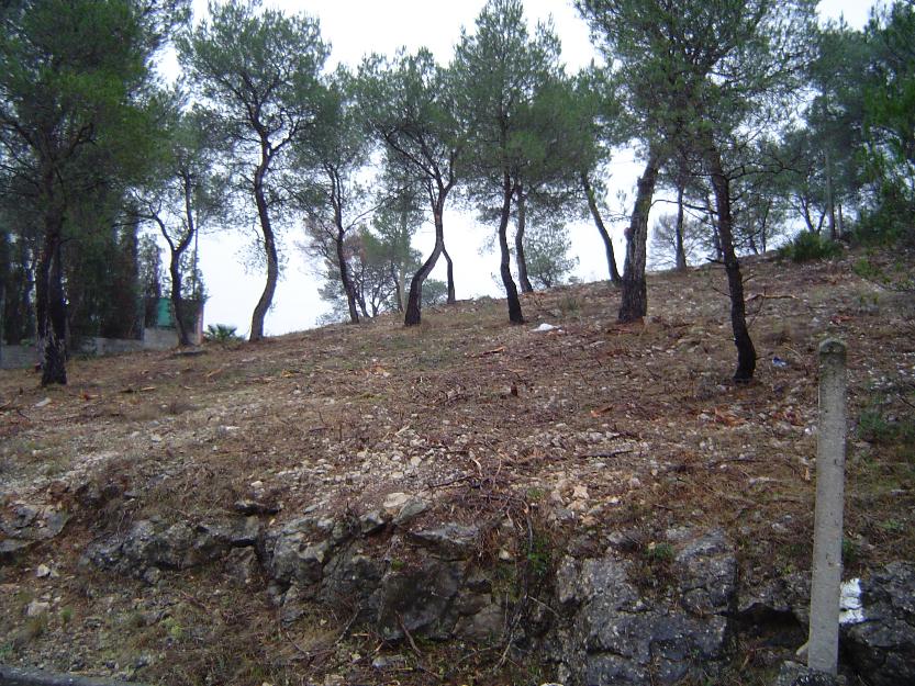 Parcela en Canyelles urbanización Las Palmeras