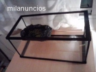 Vendo un acuario para tortugas - mejor precio | unprecio.es